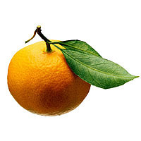 Tangerines: Main Image