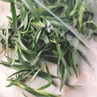 Tarragon: Main Image