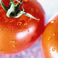 Tomatoes: Main Image