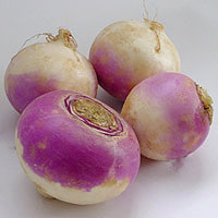 Turnips: Main Image