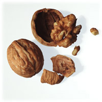 Walnuts: Main Image