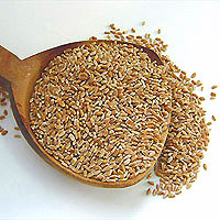 Wheat: Main Image