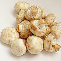 White Mushrooms: Main Image