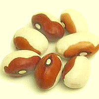 Yellow-Eye Beans: Main Image