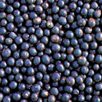 Garden Greens™ AçaíCleanse™ 48 Hour Açaí Berry Detox   GARDEN 