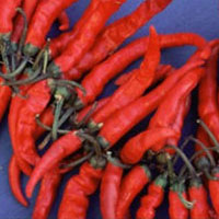 Chili Peppers: Main Image