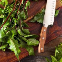 Bacon-Dandelion Salad with Garlic Toast: Main Image