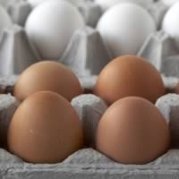 Basic Fried Eggs: Main Image