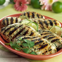 Grilled Chicken with Spicy Ginger Marinade: Main Image