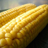 Oven-Roasted Corn on the Cob: Main Image