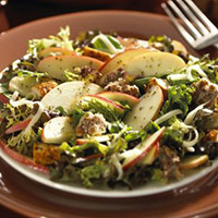 Apple Orchard Salad: Main Image