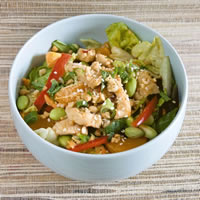 Mandarin Chicken Salad with a Sweet-and-Sour Vinaigrette: Main Image