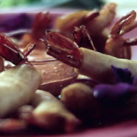 Firecracker Shrimp: Main Image