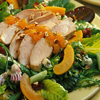 Apricot-Dijon Pork Salad: Main Image