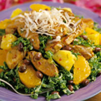 Brazilian Pork Salad with Tangerine Vinaigrette: Main Image