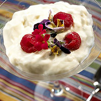 Vanilla Yogurt Panna Cotta: Main Image