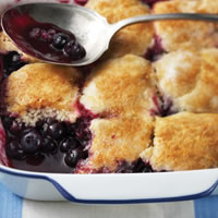 Blueberry Cobbler: Main Image