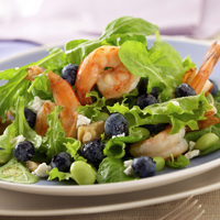 Blueberry Shrimp Salad with Lemon Vinaigrette: Main Image