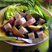Creamy Smoked Turkey and Blueberry Salad: Main Image