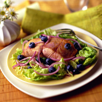 Salmon and Blueberry Salad with Red Onion Vinaigrette: Main Image