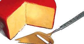 Cheese: Main Image