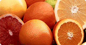 Citrus Fruits: Main Image