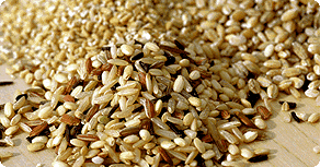 Grains: Main Image