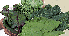 Lettuce and Greens: Main Image